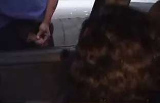 XXX Dua cerita sex terbaru bergambar gadis jimat cum di jacuzzi